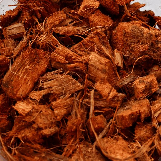 קוקוס גס - 1 ליטר - רוטין (ירוק במרפסת לשעבר)