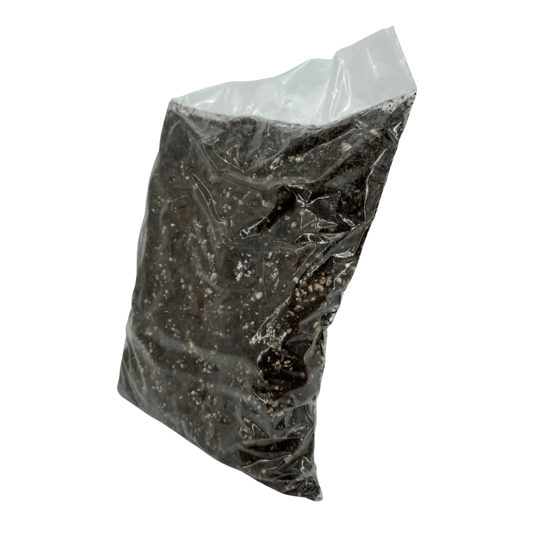 מצע גידול מאוורר (50/50 קוקוס/פרלייט) 2 ליטר - רוטין (ירוק במרפסת לשעבר)