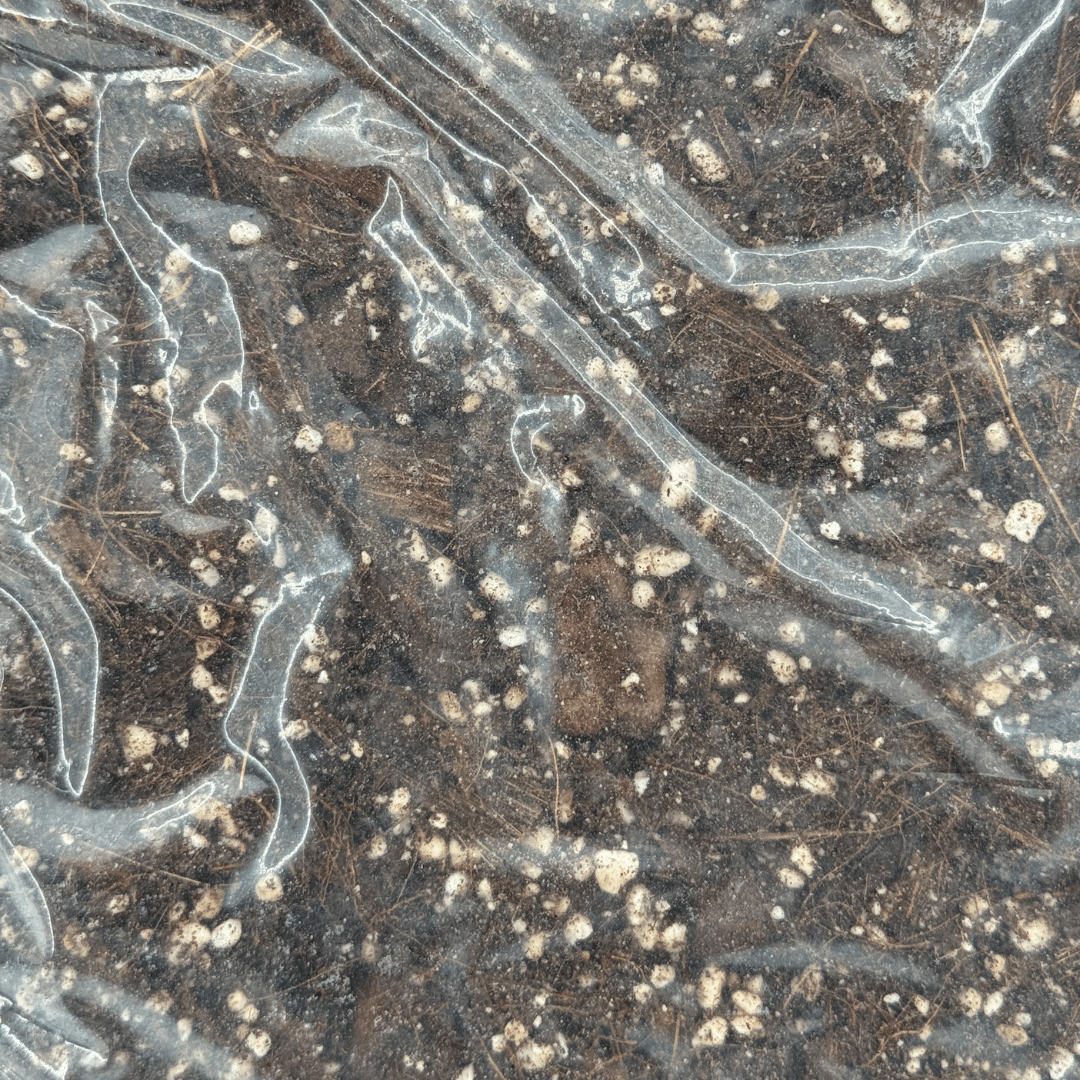 מצע גידול מאוורר (50/50 קוקוס/פרלייט) 2 ליטר - רוטין (ירוק במרפסת לשעבר)