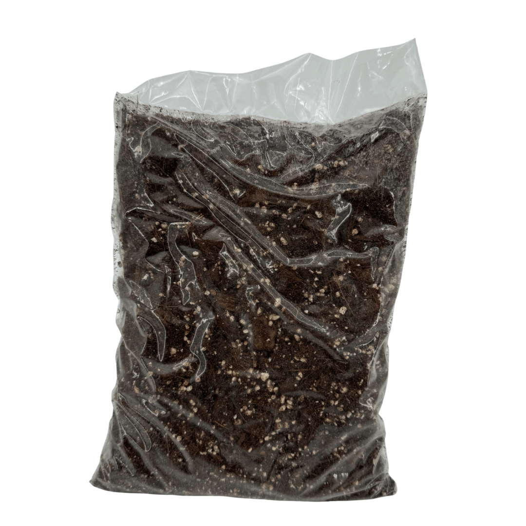 מצע גידול מאוורר לארואידים 2 ליטר - רוטין (ירוק במרפסת לשעבר)