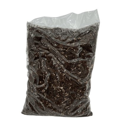 מצע גידול מאוורר לארואידים 2 ליטר - רוטין (ירוק במרפסת לשעבר)