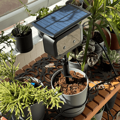 MP015 בקר השקיה סולארי + קיט השקיה. - רוטין (ירוק במרפסת לשעבר)